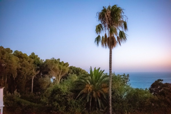 From My room in Tangiers (1 of 1).jpg