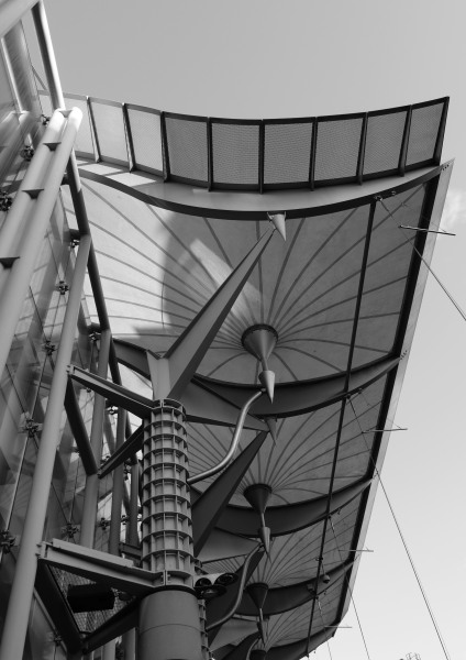 L1001079.1.JPG