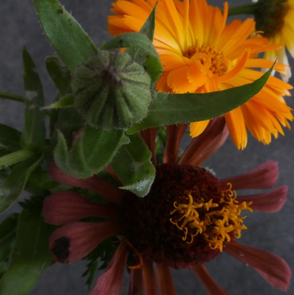 L1000676.1.JPG