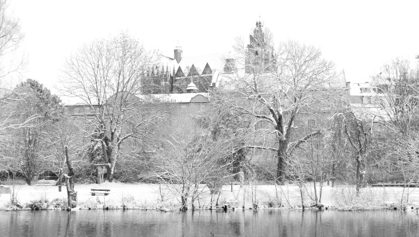 L1011425.JPG