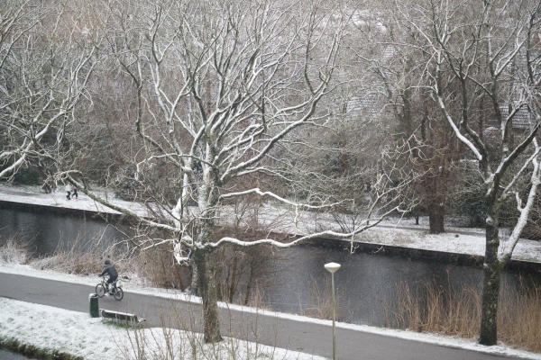 Winter#2