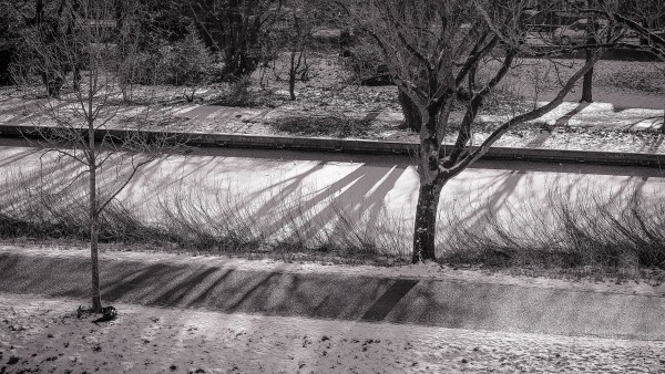 Winter#1