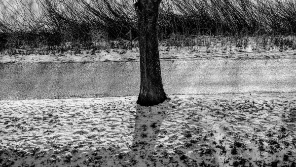 Winter#4