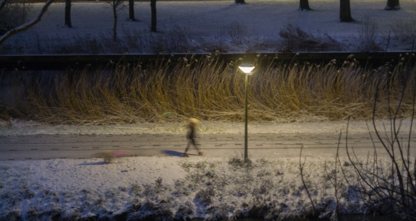 winter#6