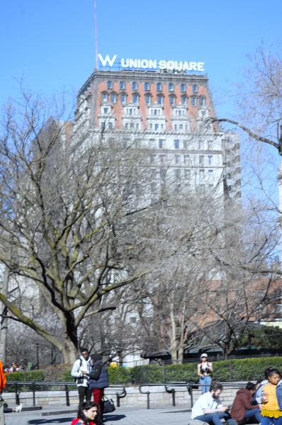 L1020027.jpg