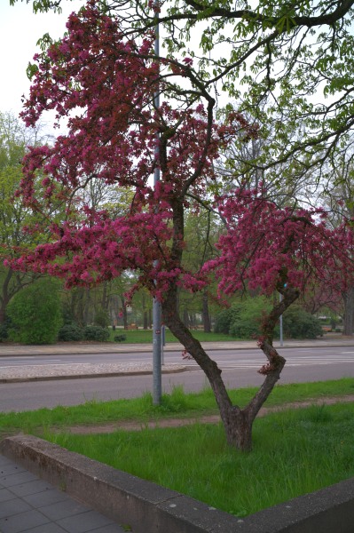 L1000066_fb.jpg