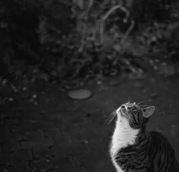 L1002098.jpeg