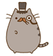Corvi