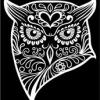 NightOwl